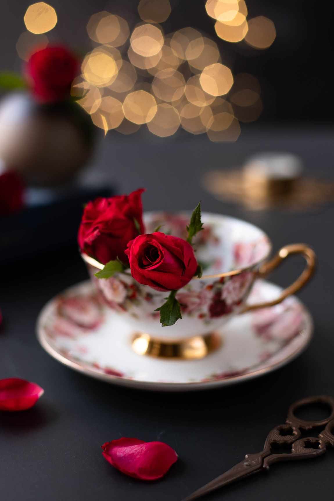 Two red roses in a cup